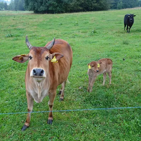 Landidyll Am Eisenberg * Kirchberg (Zwickau)
